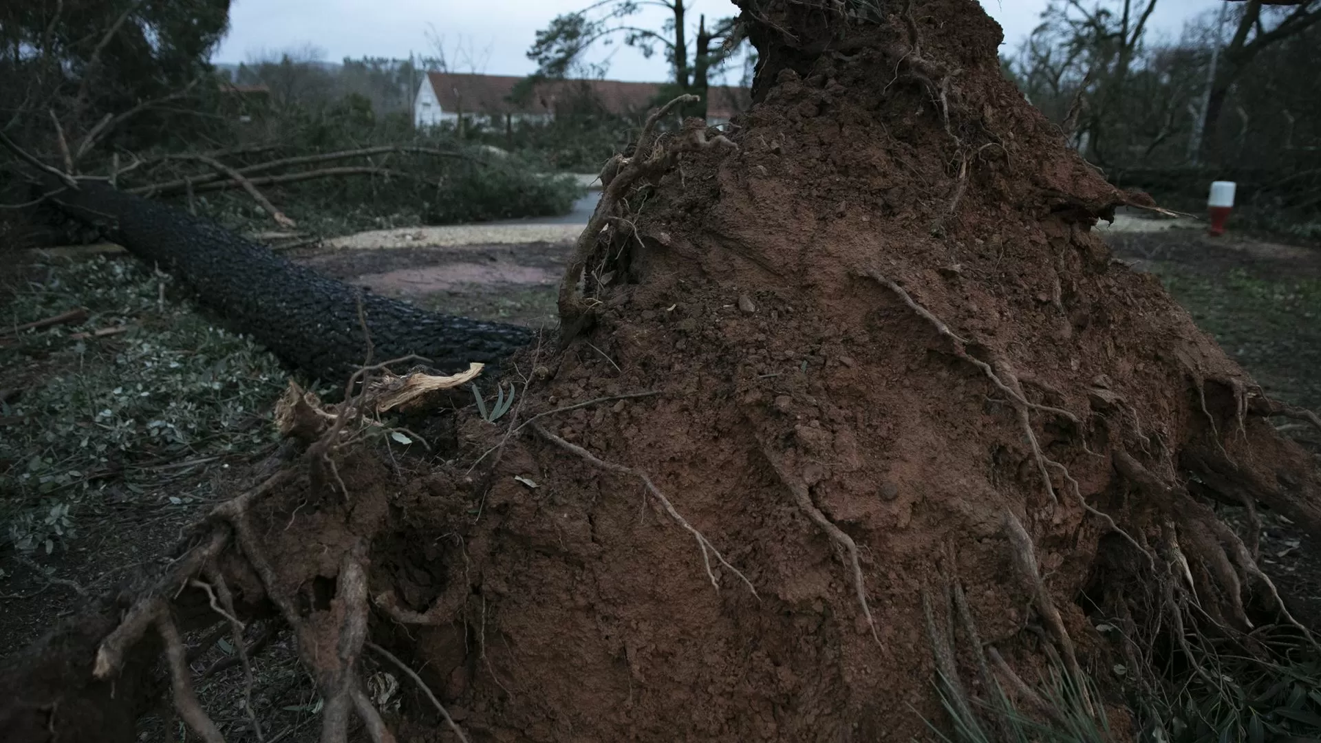 Bispo de Portalegre e Castelo Branco manifesta proximidade com vítimas de “tempestade brutal”