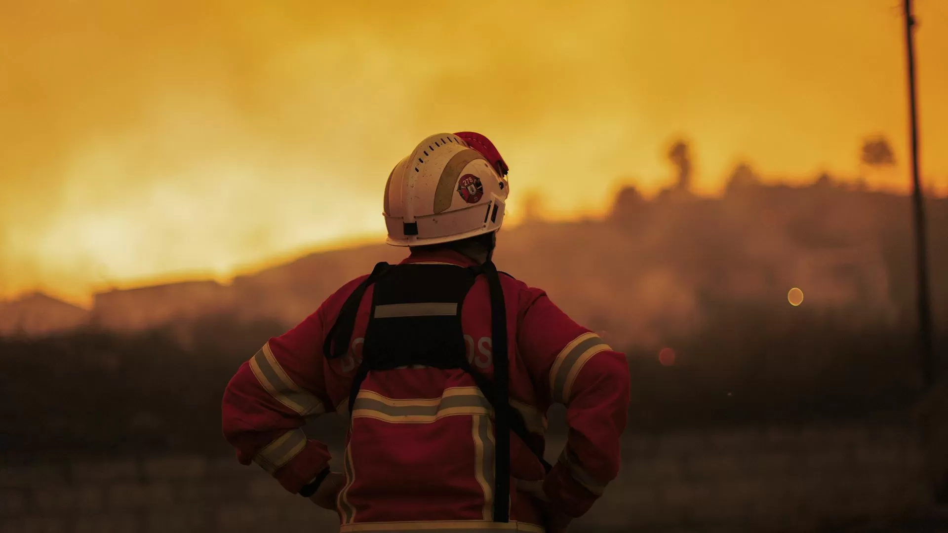 Força de 300 bombeiros vai combater incêndios florestais na União Europeia