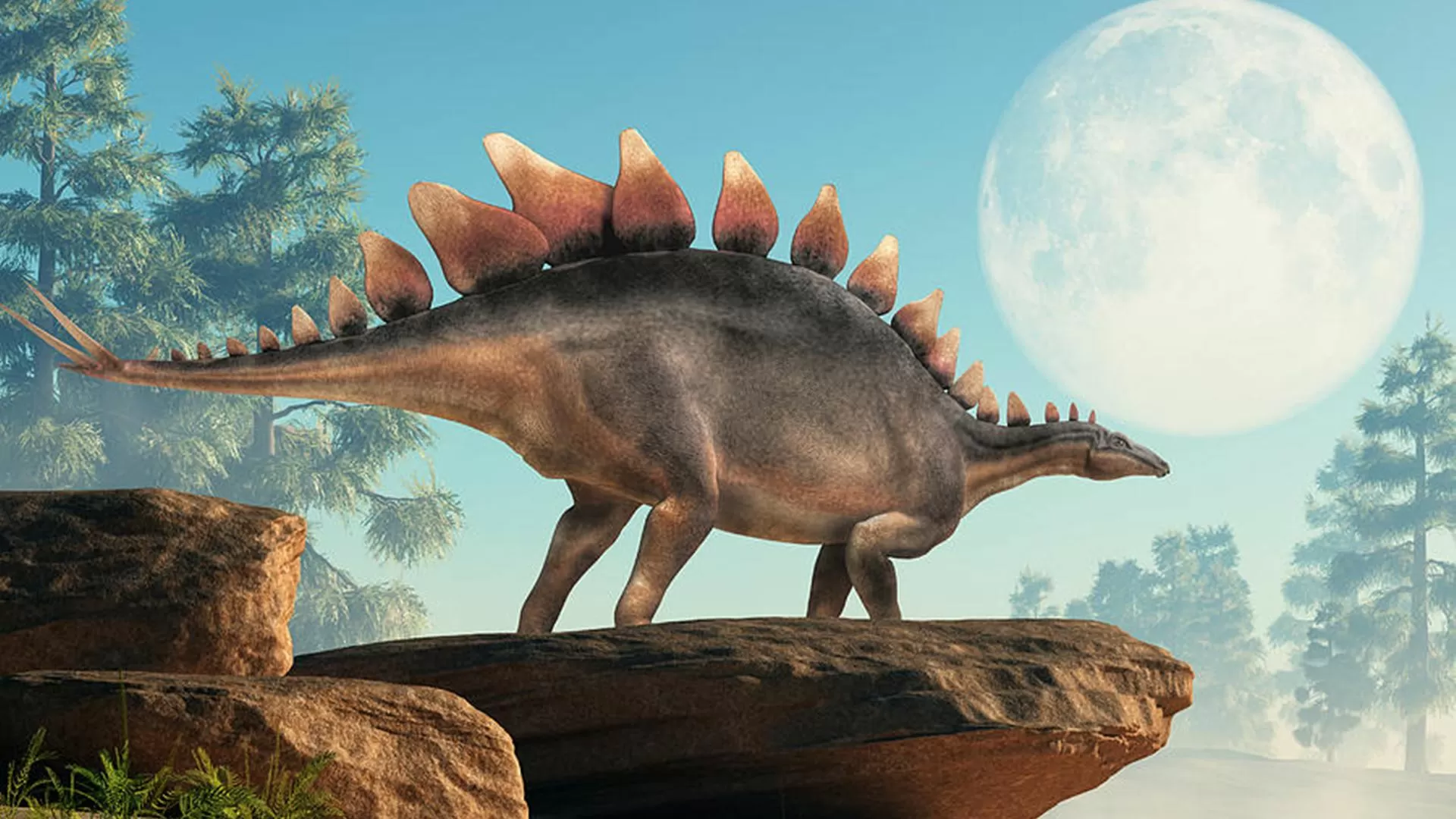 Novo "berço" de dinossauros descoberto na África do Sul