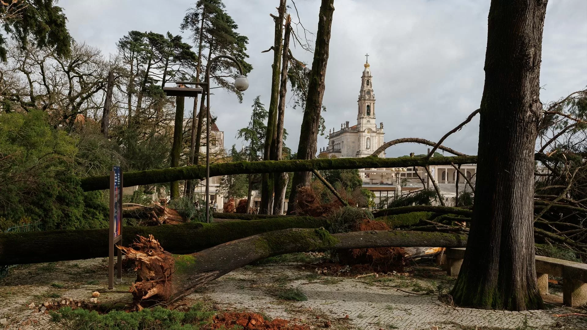 Reconstrução do património da Diocese de Leiria-Fátima custa pelo menos 12 milhões de euros