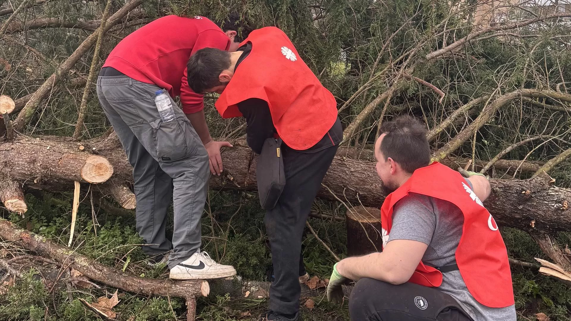 Cáritas de Leiria angaria mais de 1,3 milhões de euros para vítimas da tempestade Kristin