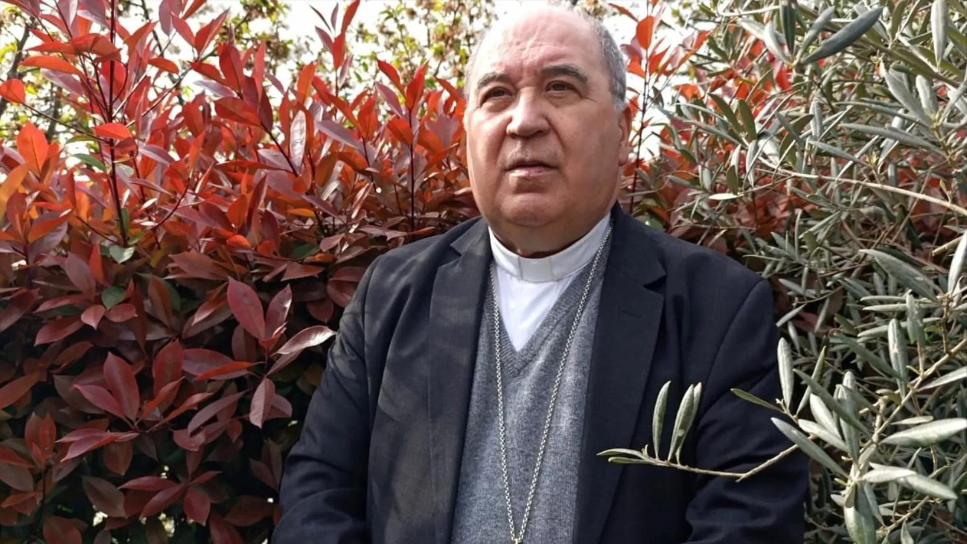 Bispo de Viseu convida fiéis a viver a Quaresma “com alegria e esperança”