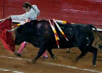 Espanha cancela Prêmio Nacional de Touradas e divide opiniões
