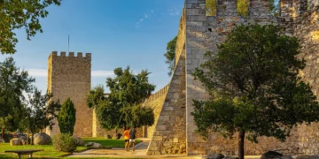 Alegadas dívidas da Câmara de Évora aos clubes desportivos preocupam PSD