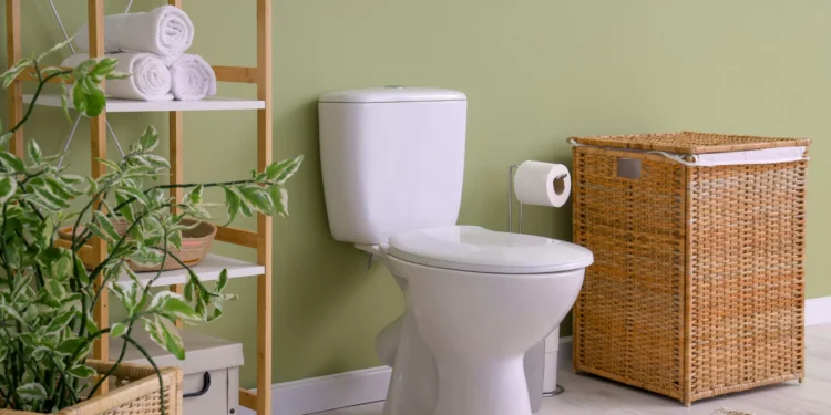 Esta dica tão fácil faz com que a sanita fique brilhante e cheirosa