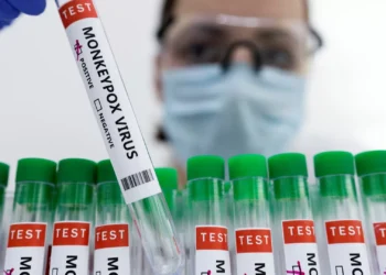 Monkeypox. OMS reúne comité de emergência na quarta-feira para avaliar epidemia