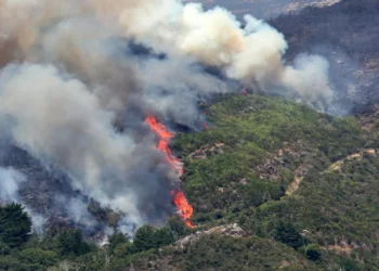 Agosto é já o mês com mais área ardida em 2024 (o dobro de julho)