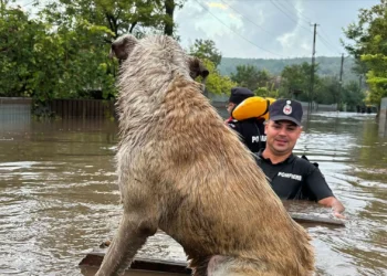Tempestade Boris faz pelo menos sete mortos na Europa