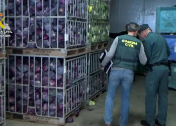 Venderam milhões de kg de frutas e legumes como biológicos (mas não eram)