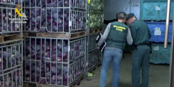 Venderam milhões de kg de frutas e legumes como biológicos (mas não eram)