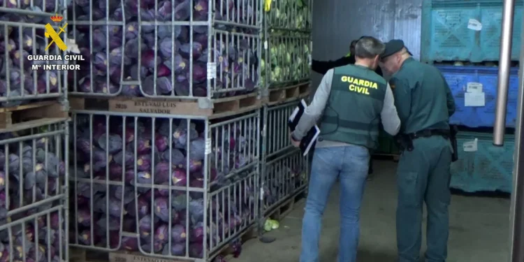 Venderam milhões de kg de frutas e legumes como biológicos (mas não eram)