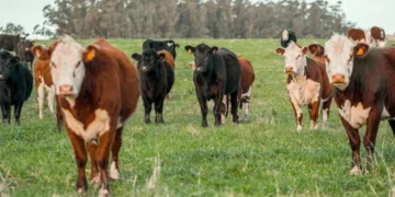 “A Evolução da Economia e seu Impacto no Mercado”