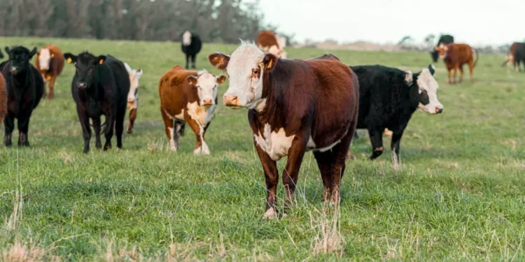 “Desafios econômicos no mercado imobiliário durante a pandemia”