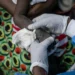 OMS: Casos de mpox na República Democrática do Congo estão a estabilizar