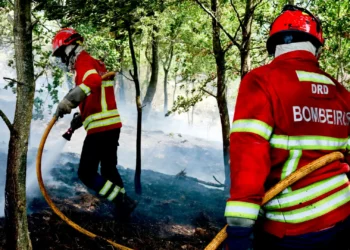 Stellantis doa 225 mil euros a quatro corporações de bombeiros de Viseu
