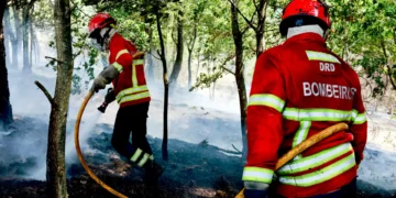 Stellantis doa 225 mil euros a quatro corporações de bombeiros de Viseu