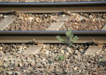 Greve na CP suprimiu mais de 75% dos comboios até às 19h00