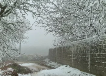 La Niña deve chegar em janeiro. Temperaturas descem mas não compensam aquecimento global