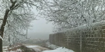 La Niña deve chegar em janeiro. Temperaturas descem mas não compensam aquecimento global