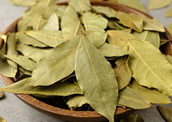 Usa este tempero sem saber que facilita a digestão e diminui os gases