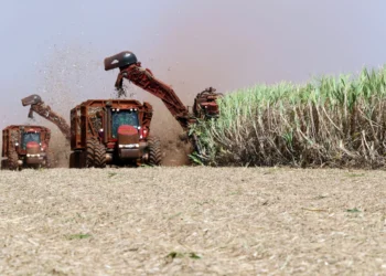Estamos colhendo a maior safra da história, diz Carlos Fávaro à CNN