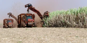 Estamos colhendo a maior safra da história, diz Carlos Fávaro à CNN