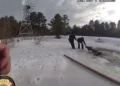 Cavalo salvo após cair em lago congelado em Nova Iorque. Eis o vídeo