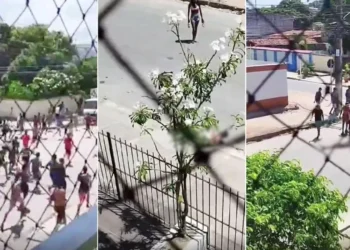 Torcedor é detido por arremesso de cabeça de porco em clássico de SP