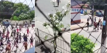 Torcedor é detido por arremesso de cabeça de porco em clássico de SP