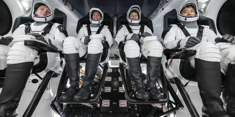 Conheça Crew-10, missão da SpaceX que irá liberar astronautas da Starliner