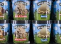 Ben & Jerry’s acusa Unilever de despedir CEO devido a ativismo social e político