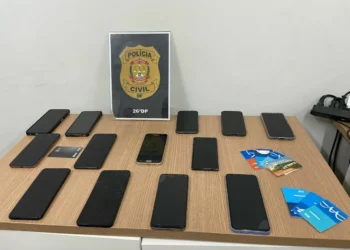 Homem é indiciado por adotar e praticar “experimentos” em gatos no DF