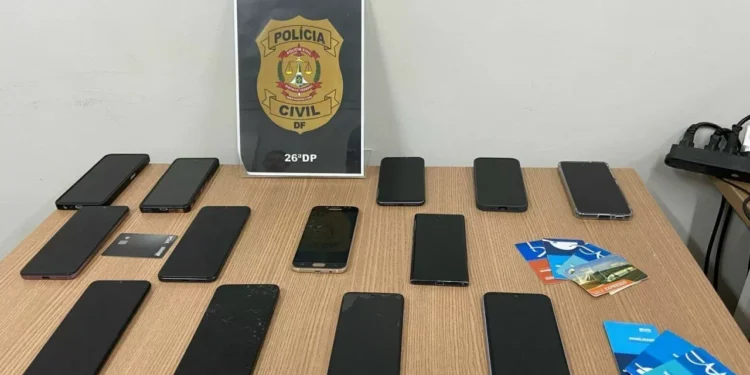 Homem é indiciado por adotar e praticar “experimentos” em gatos no DF