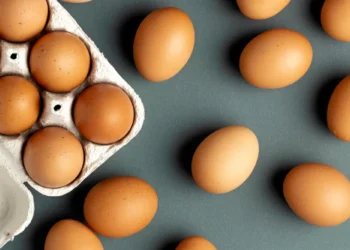 EUA: Aumento no preço dos ovos impulsiona contrabando pela fronteira