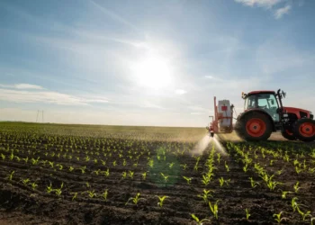 Açores com candidaturas ao Plano Estratégico da Política Agrícola Comum