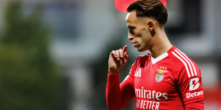 Após susto, Hugo Félix descansa adeptos: “Já fiz os exames…”