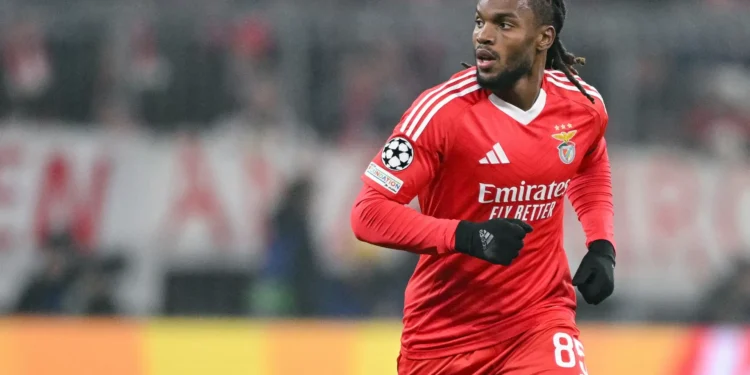 Renato Sanches de férias em plena época com autorização do Benfica