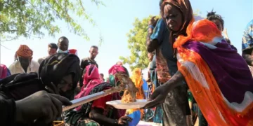 EUA admitem ter cortado por engano financiamento de programas alimentares da ONU