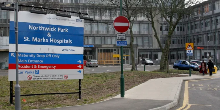 Brexit está a dificultar acesso a medicamentos a pacientes com cancro