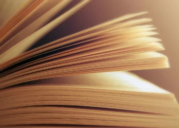 Comboio Literário vai ligar Porto a Foz Côa com música e poesia a bordo