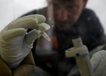 “Óscar da Ciência” atribuído a duas descobertas sobre esclerose múltipla