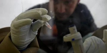 “Óscar da Ciência” atribuído a duas descobertas sobre esclerose múltipla