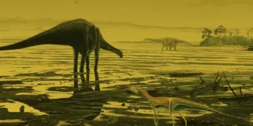 Dinossauros não estavam em declínio antes do asteróide que os exterminou