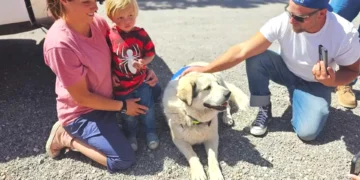 Cão salva criança desaparecida. “Foi enviado por Deus para resgatar o meu filho”