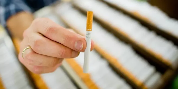 Indústria do tabaco recorre a “estratégias insidiosas” para atrair jovens, diz OMS
