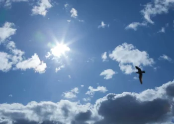 Sol ou chuva? Saiba como vai estar o tempo na quinta-feira