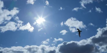 Sol ou chuva? Saiba como vai estar o tempo na quinta-feira