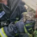 Bombeiros resgatam gatos bebés em Baguim do Monte após alerta de popular