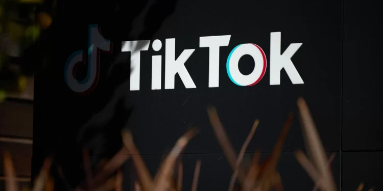 Amnistia reforça alerta contra conteúdos nocivos no Tik Tok