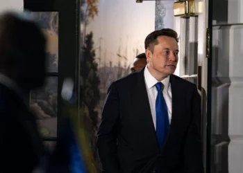 Musk defende que proibir partido “centrista” AfD na Alemanha seria ataque à democracia